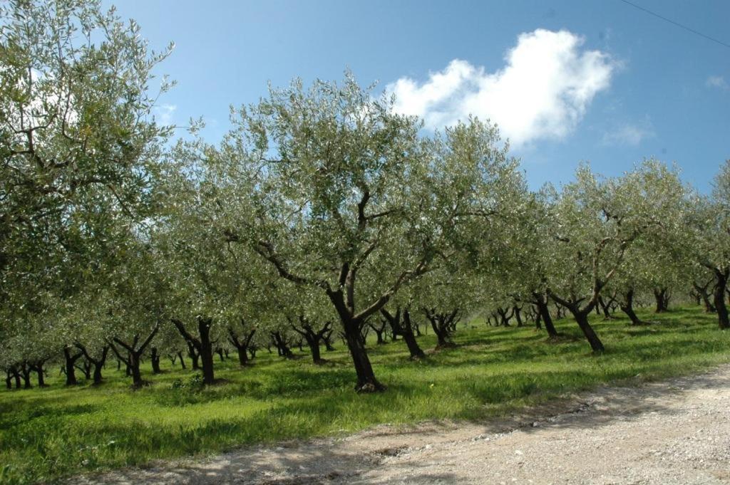 Agriturismo Terra Di Vento Hotel Montecorvino Pugliano Buitenkant foto